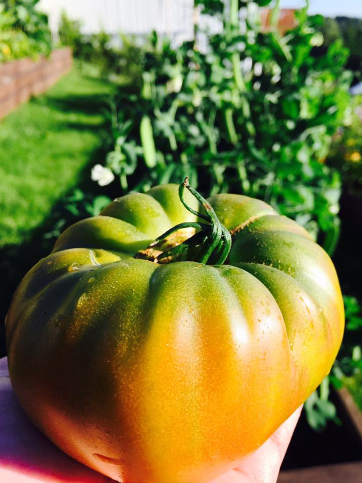 Second retraining Vegetables